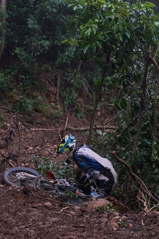 TORRA 三義 比賽 2024.11