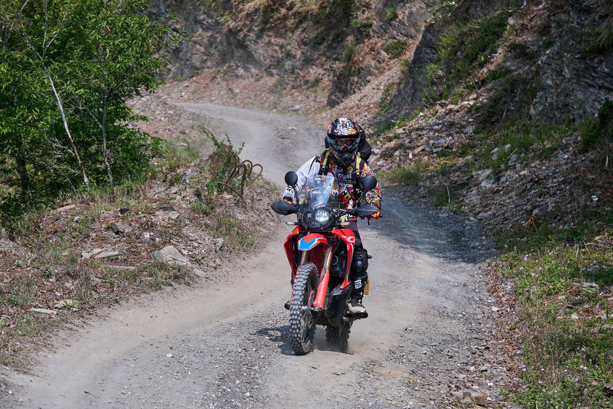 丹大林道 // Danda Forest Road