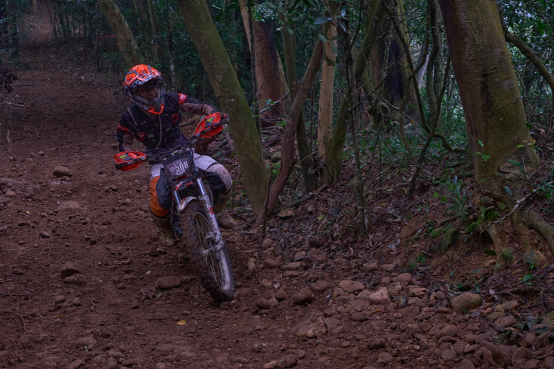 TORRA 三義 比賽 2024.11