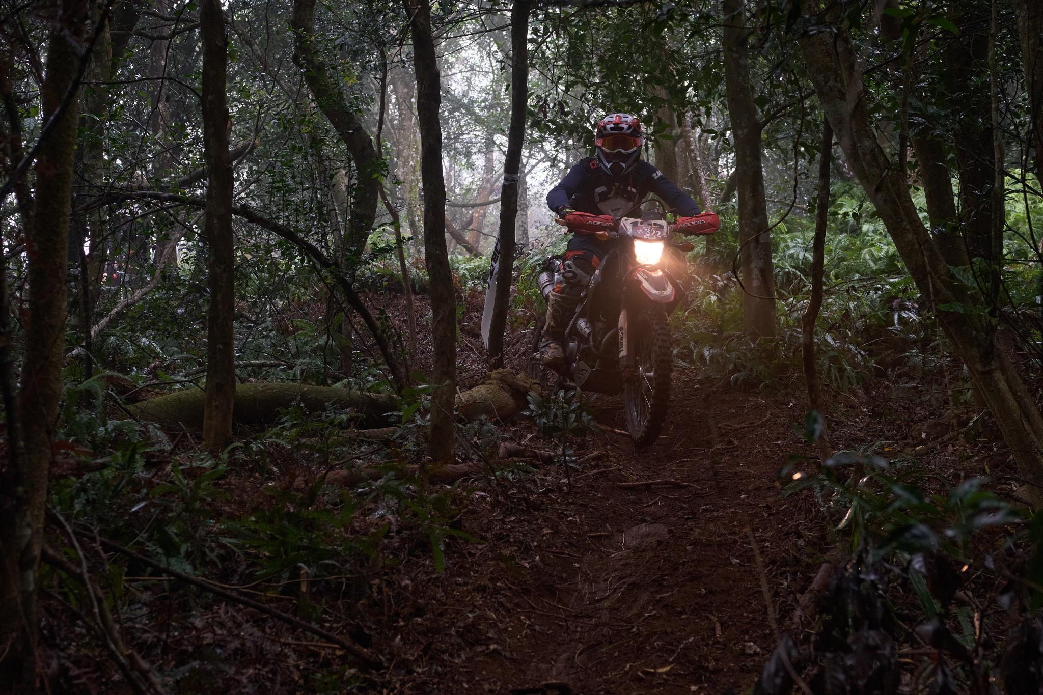 TORRA 三義 比賽 2024.11