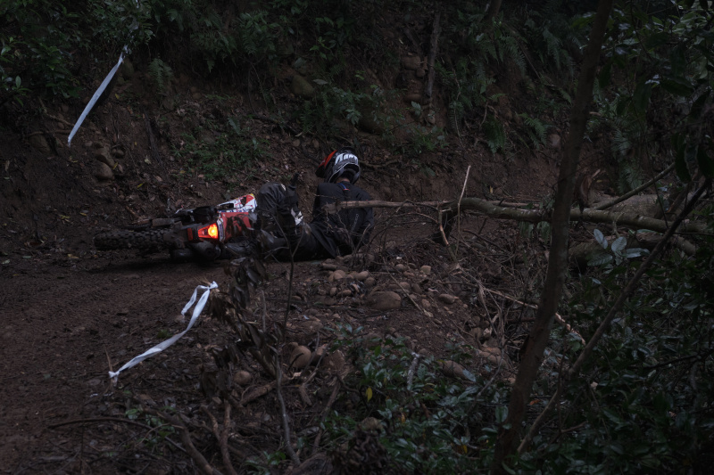 TORRA 三義 比賽 2024.11