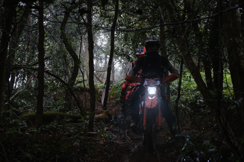 TORRA 三義 比賽 2024.11