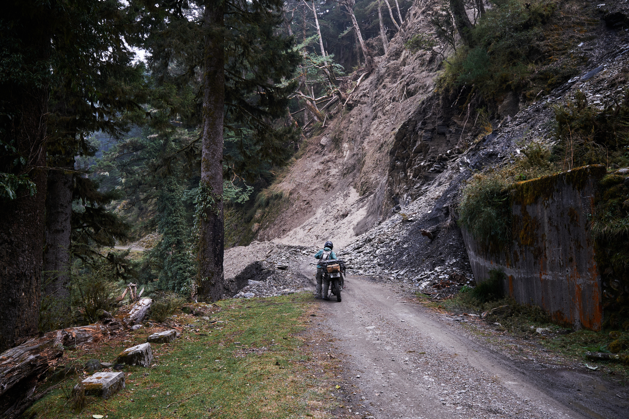 丹大林道 // Danda Forest Road