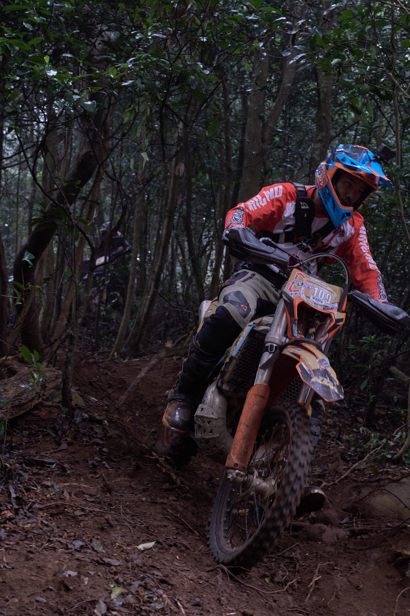 TORRA 三義 比賽 2024.11