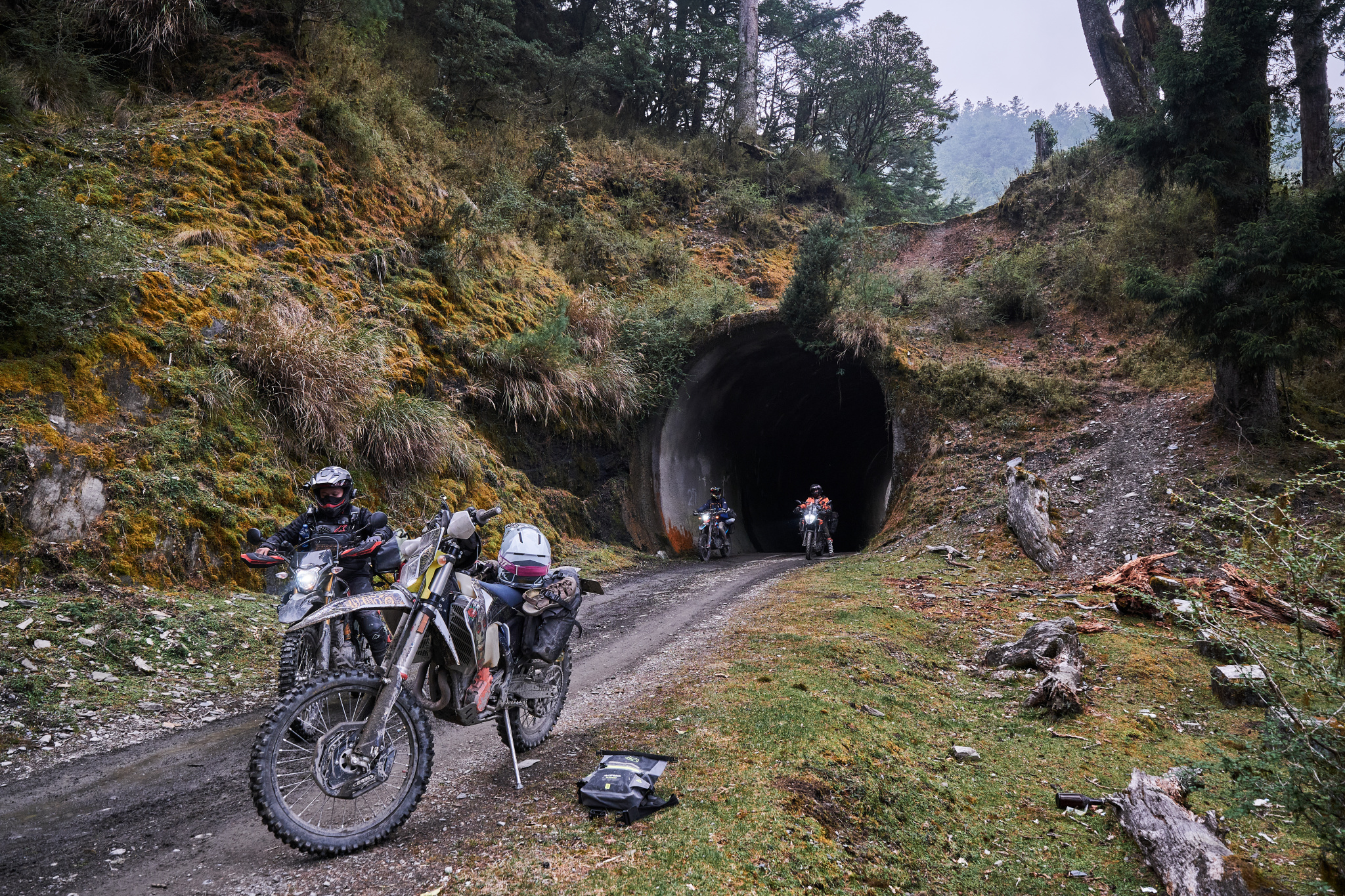 丹大林道 // Danda Forest Road