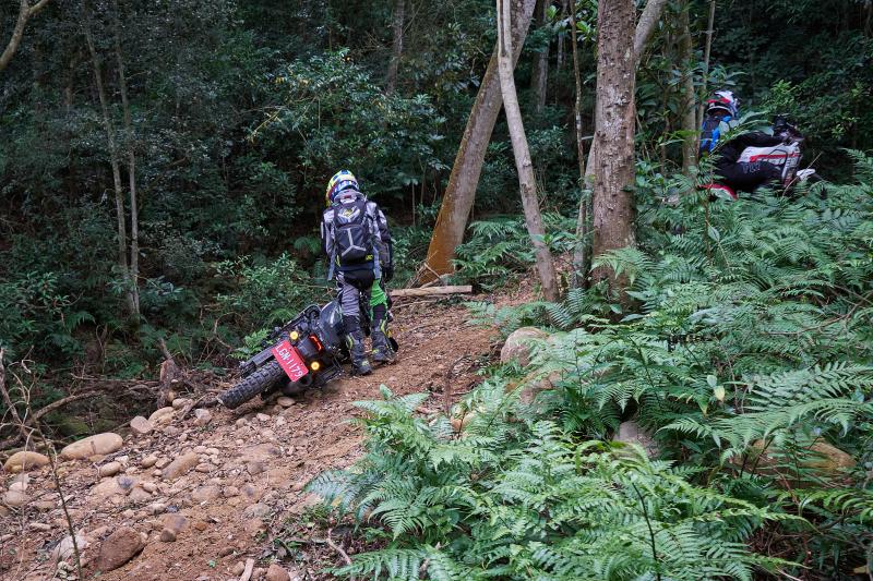 TORRA 三義 比賽 2022.10 // TORRA Sanyi Race 2022.10