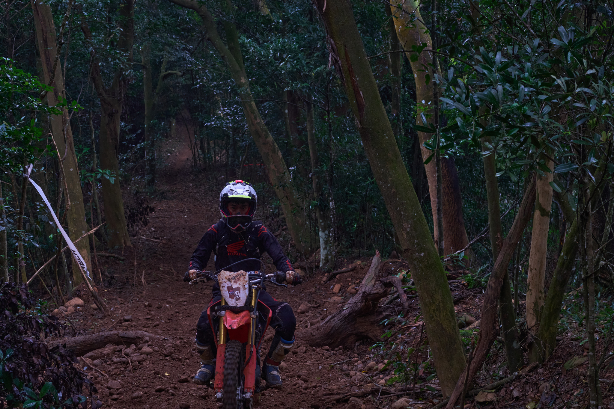 TORRA 三義 比賽 2024.11