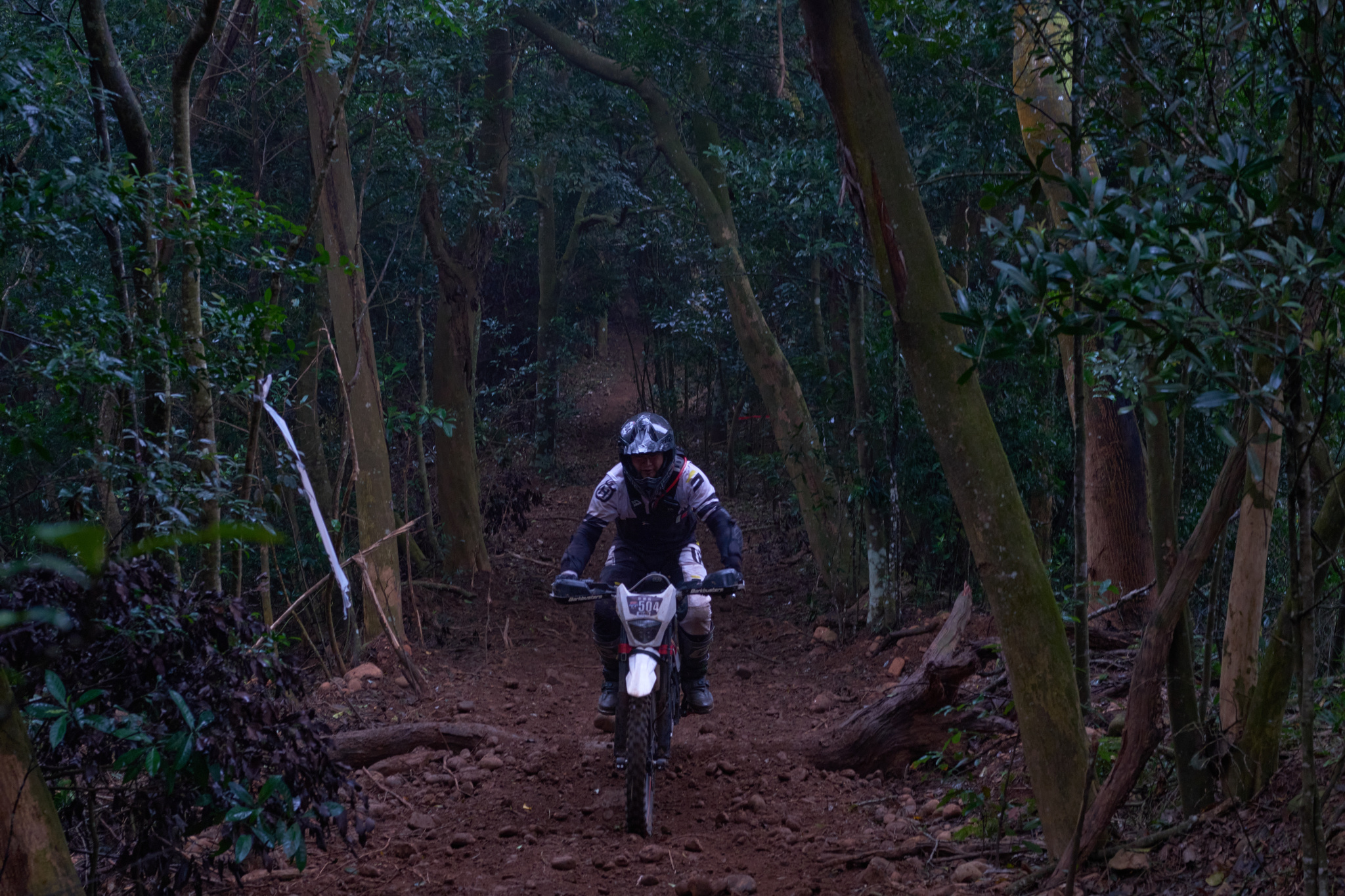 TORRA 三義 比賽 2024.11