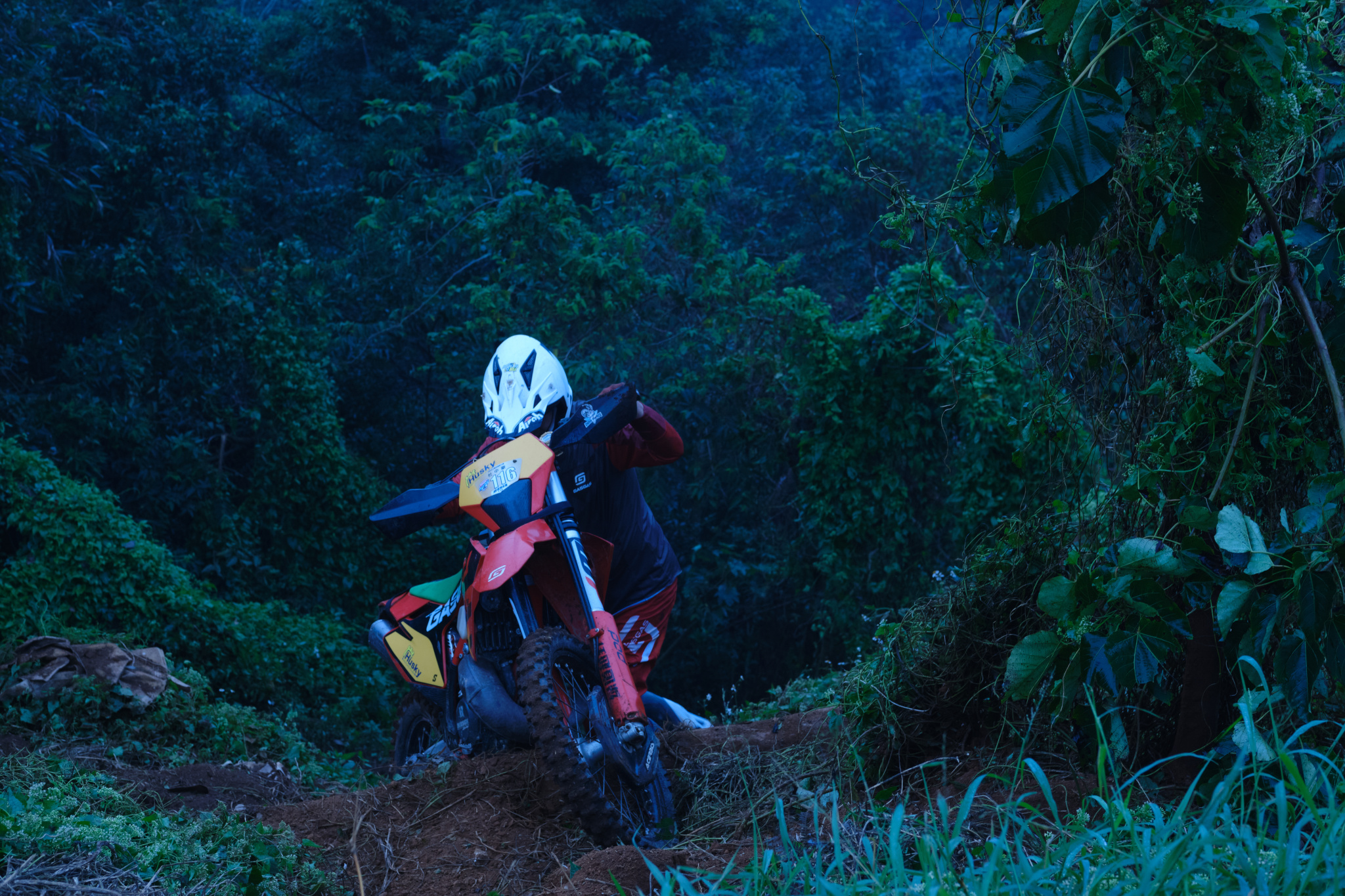 TORRA 三義 比賽 2024.11