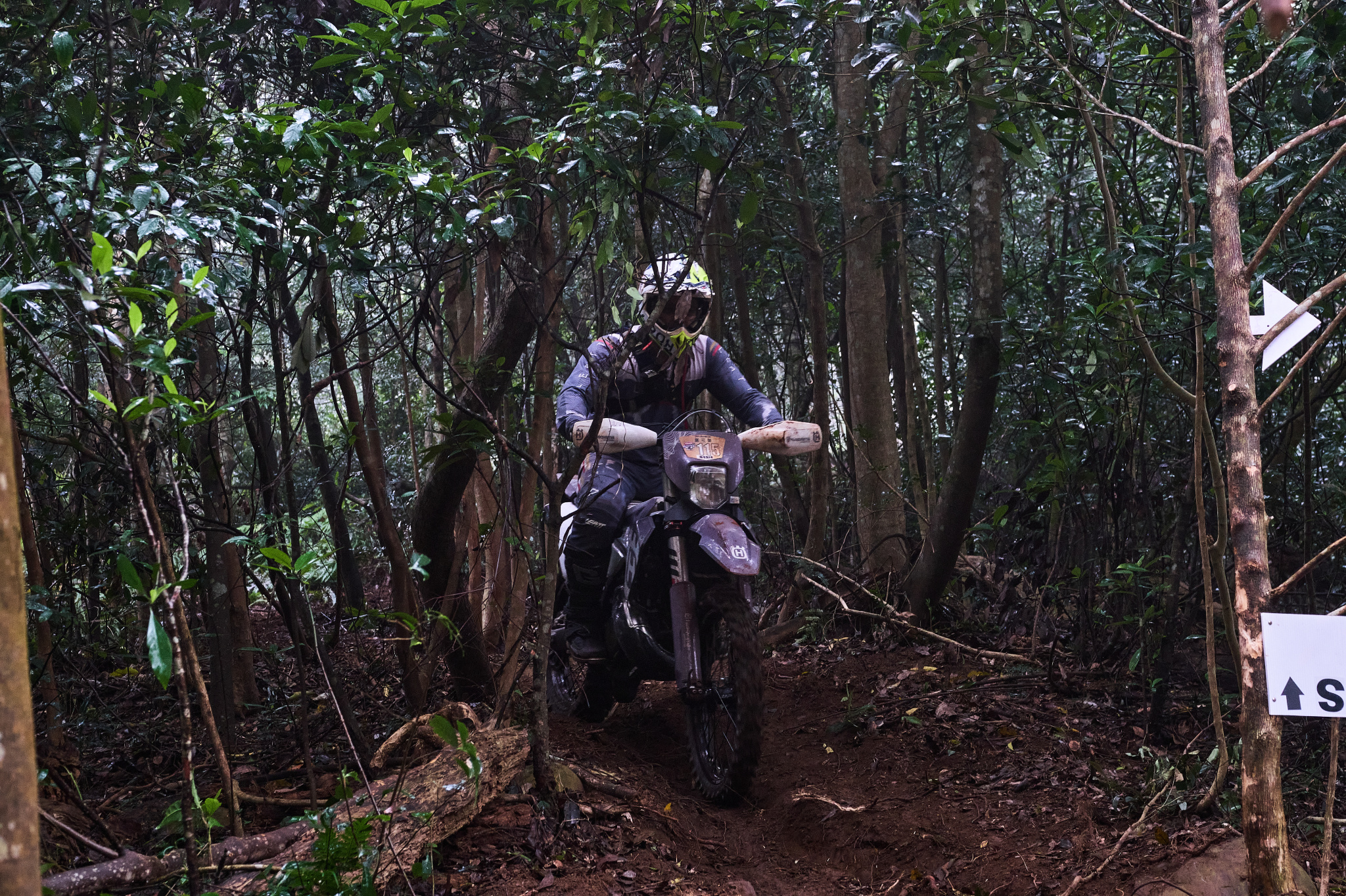 TORRA 三義 比賽 2024.11