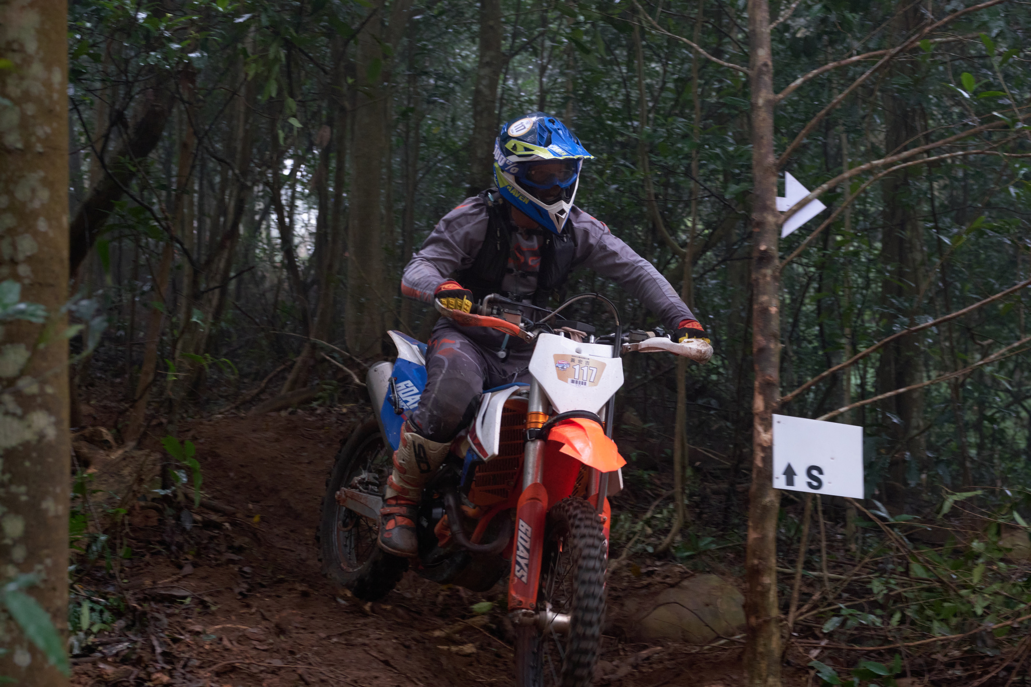 TORRA 三義 比賽 2024.11