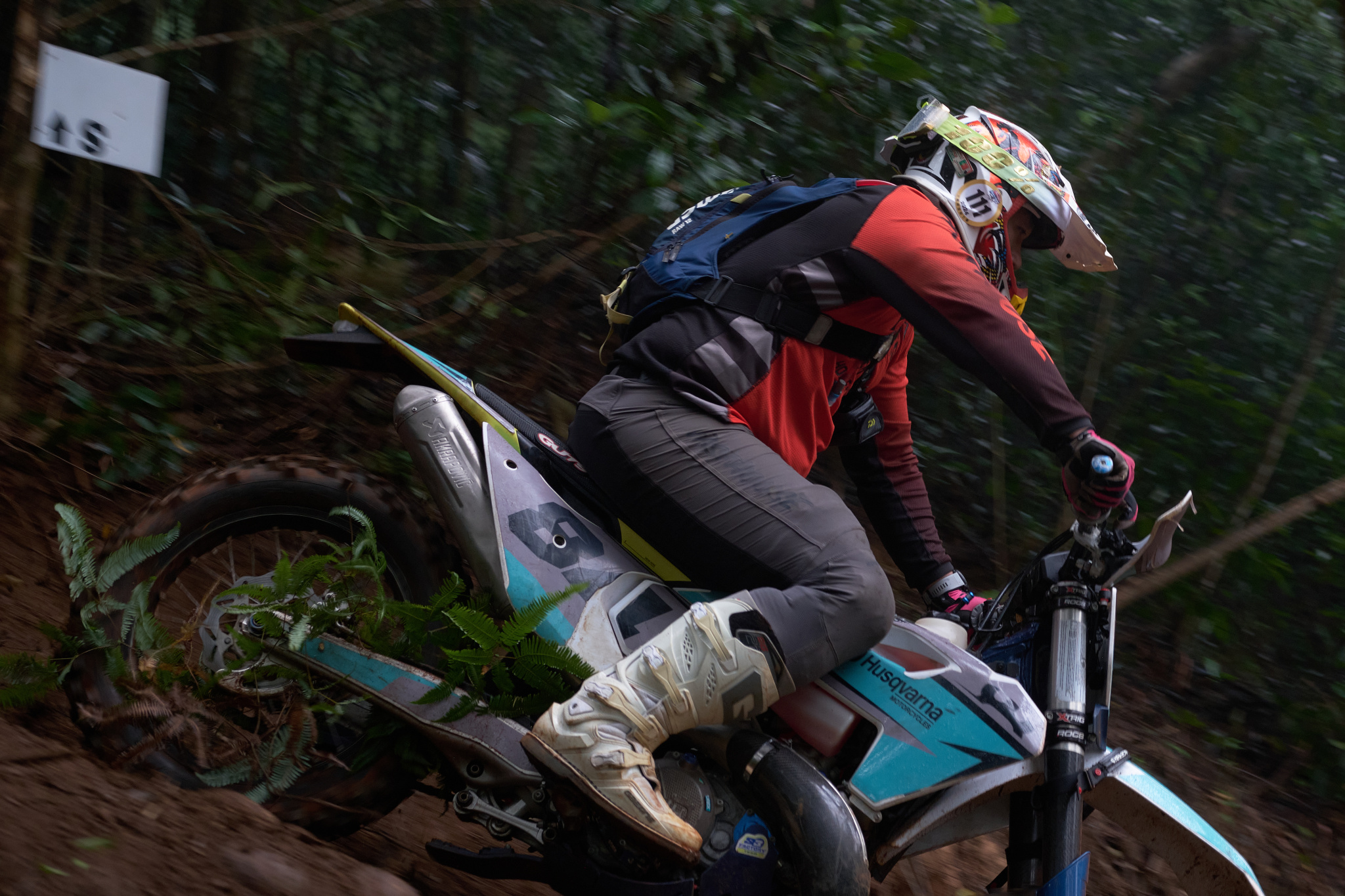 TORRA 三義 比賽 2024.11