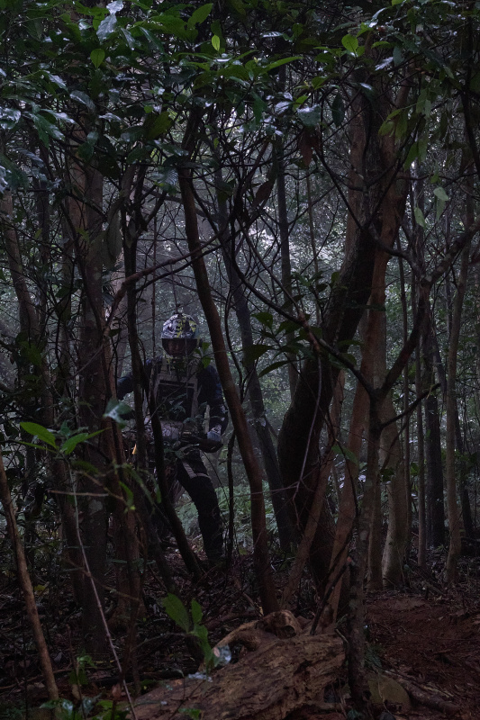 TORRA 三義 比賽 2024.11