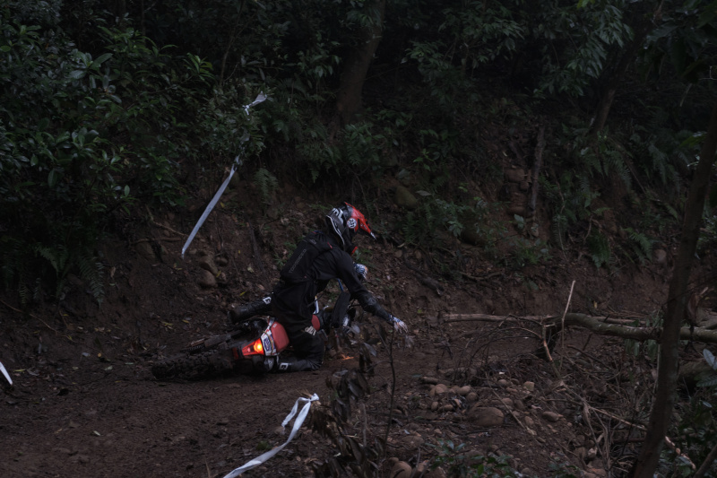 TORRA 三義 比賽 2024.11