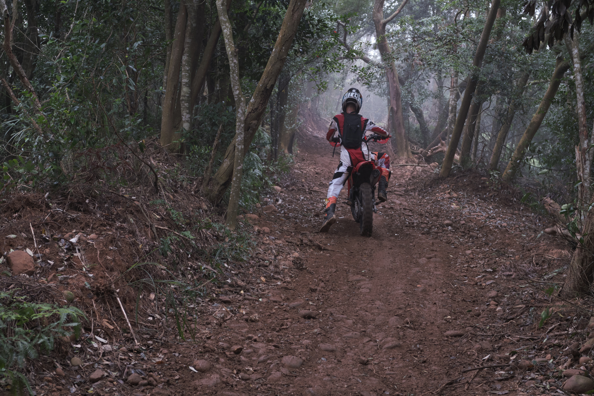 TORRA 三義 比賽 2024.11