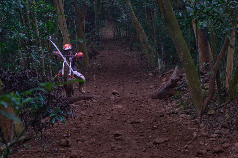 TORRA 三義 比賽 2024.11