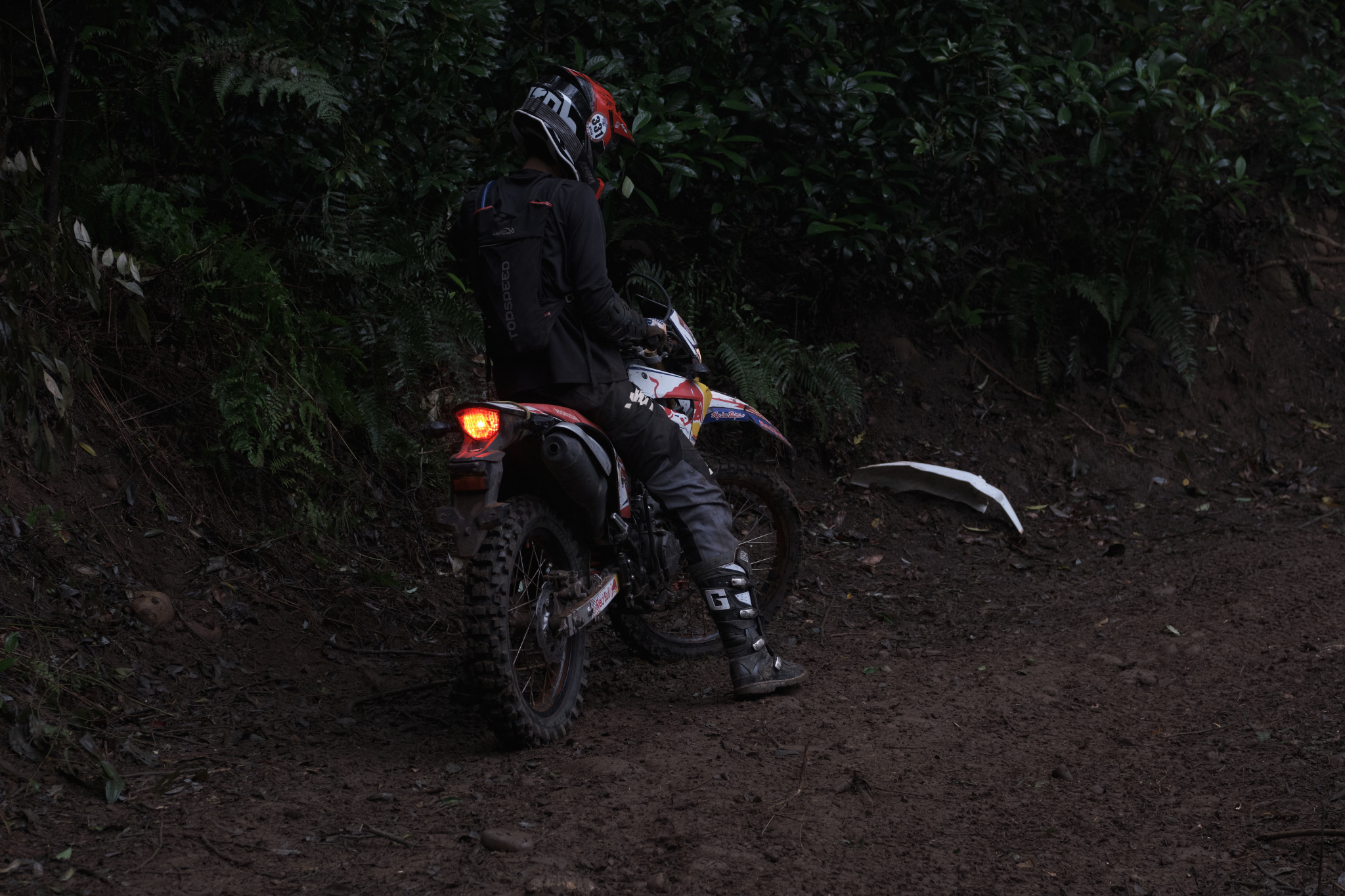 TORRA 三義 比賽 2024.11