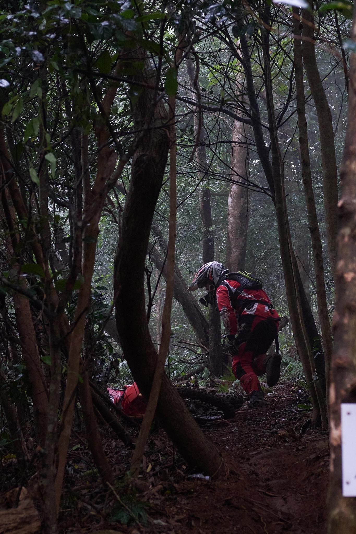 TORRA 三義 比賽 2024.11