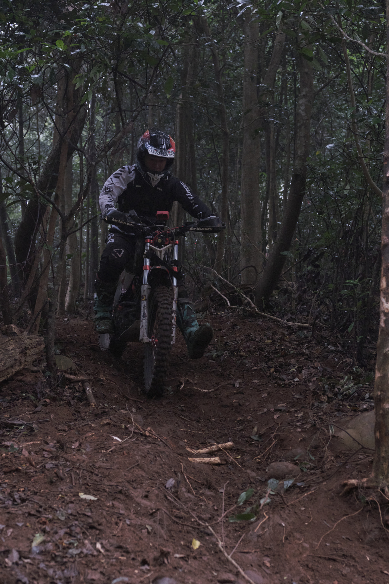 TORRA 三義 比賽 2024.11